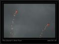 014 Patrouille Suisse a Ouchy.jpg